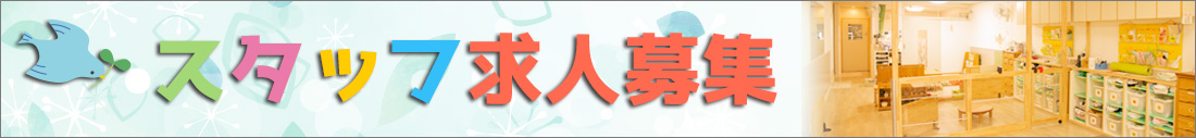 スタッフ求人情報