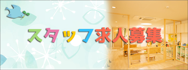 スタッフ求人情報