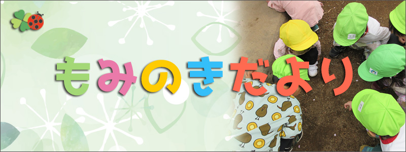 もみのきだより